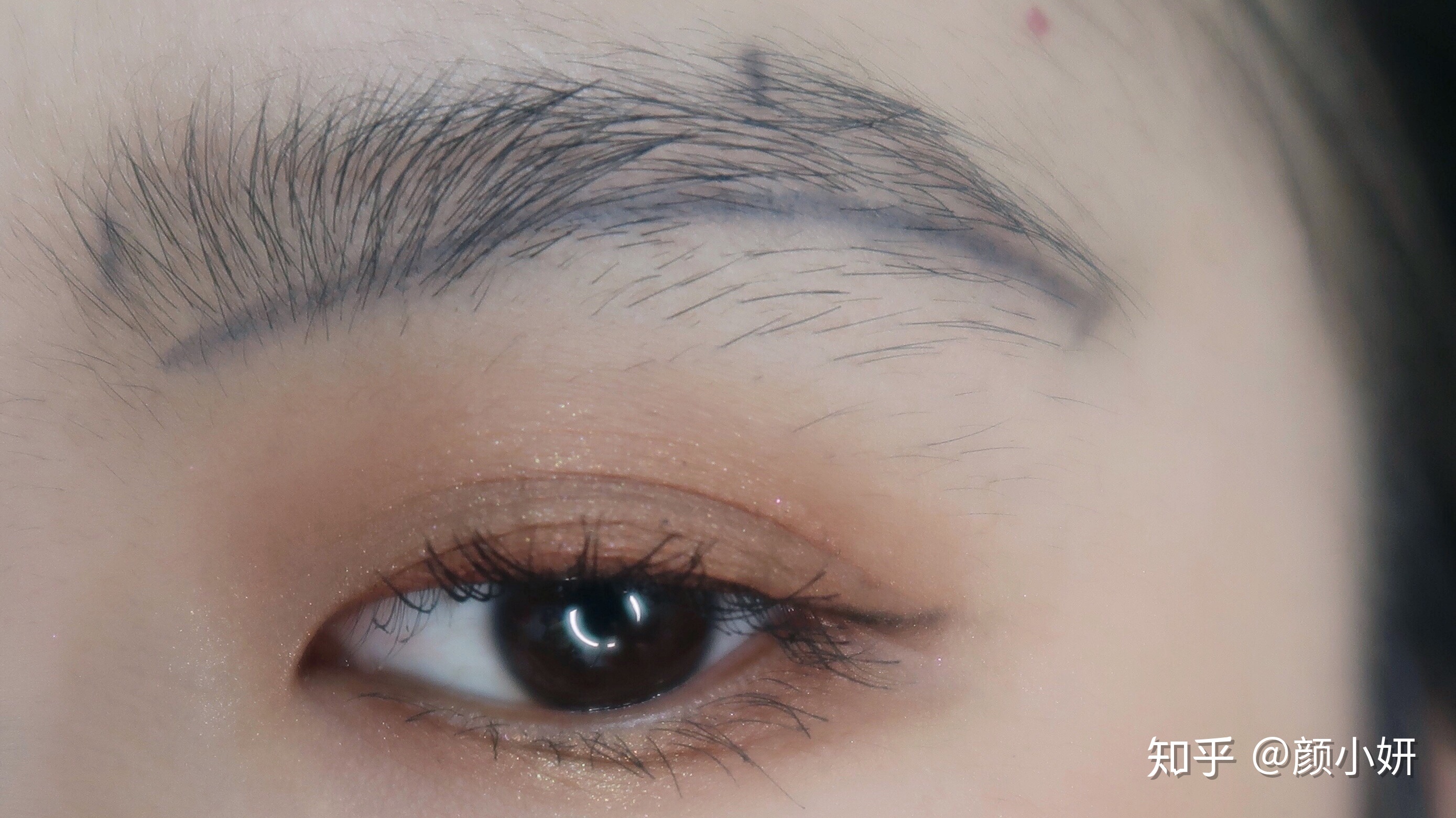 南国书香节的“国际范儿”