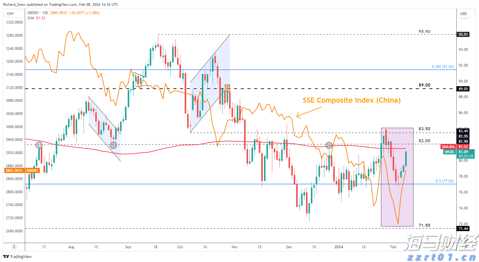 “鱼翅自由”的代价:多条大青鲨命丧黄泉,走私者终落网!