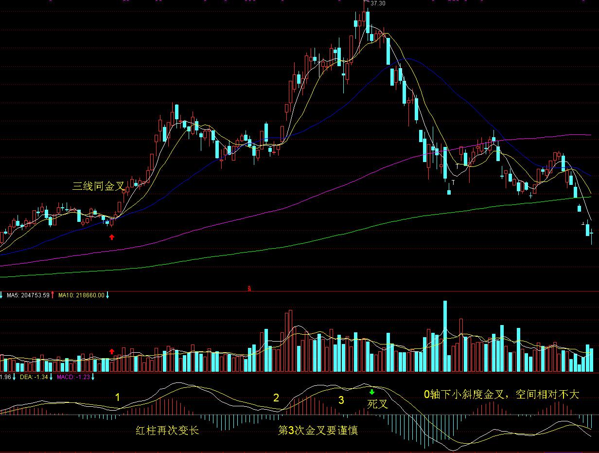 泰康人寿淮北中支开展“7·8全国保险公众宣传日”宣传活动