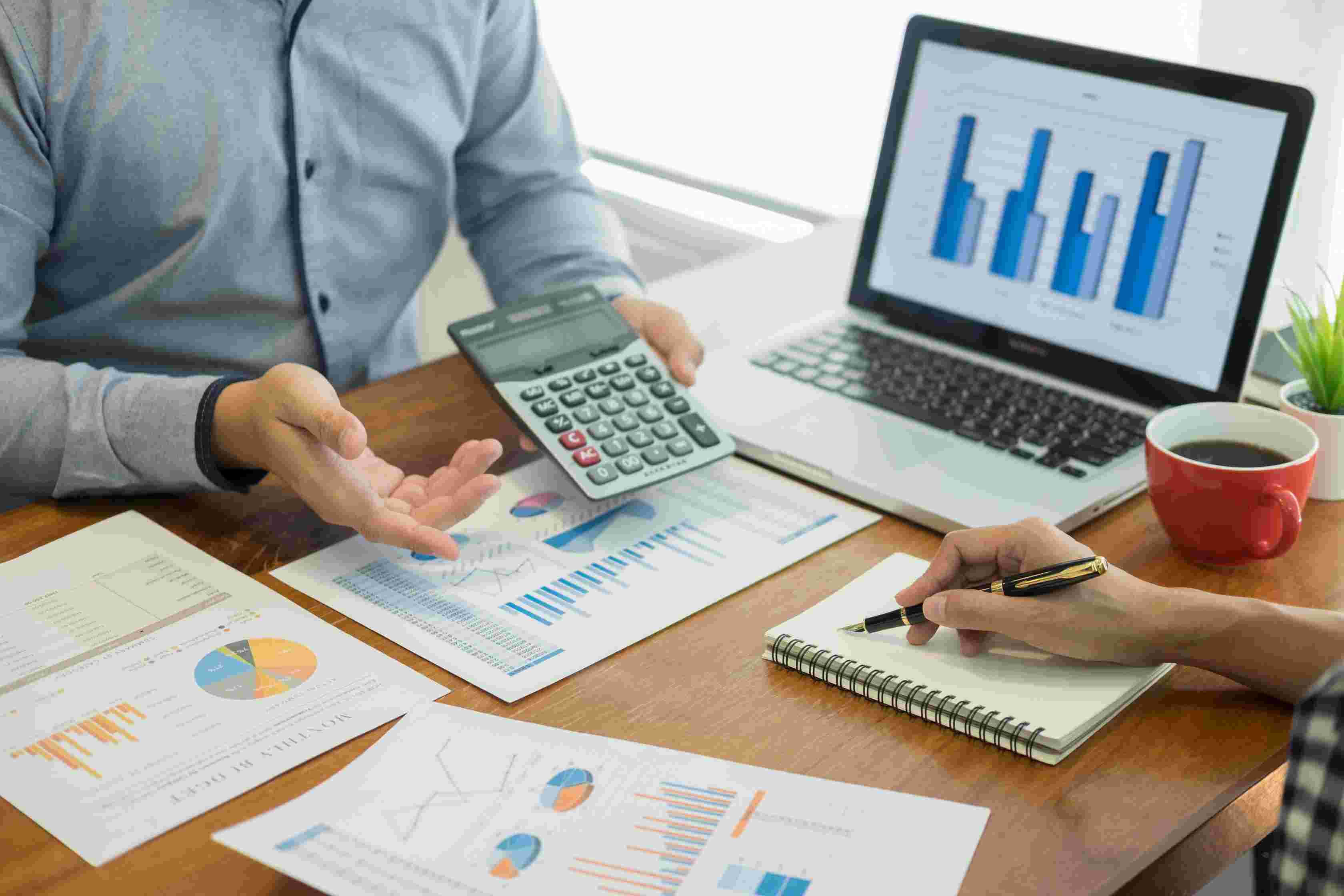 闪耀广佛地标!伽师新梅再掀湾区“甜蜜风暴”