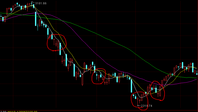 海南省市场监管局提出五条措施加强鳄雀鳝经营行为监管